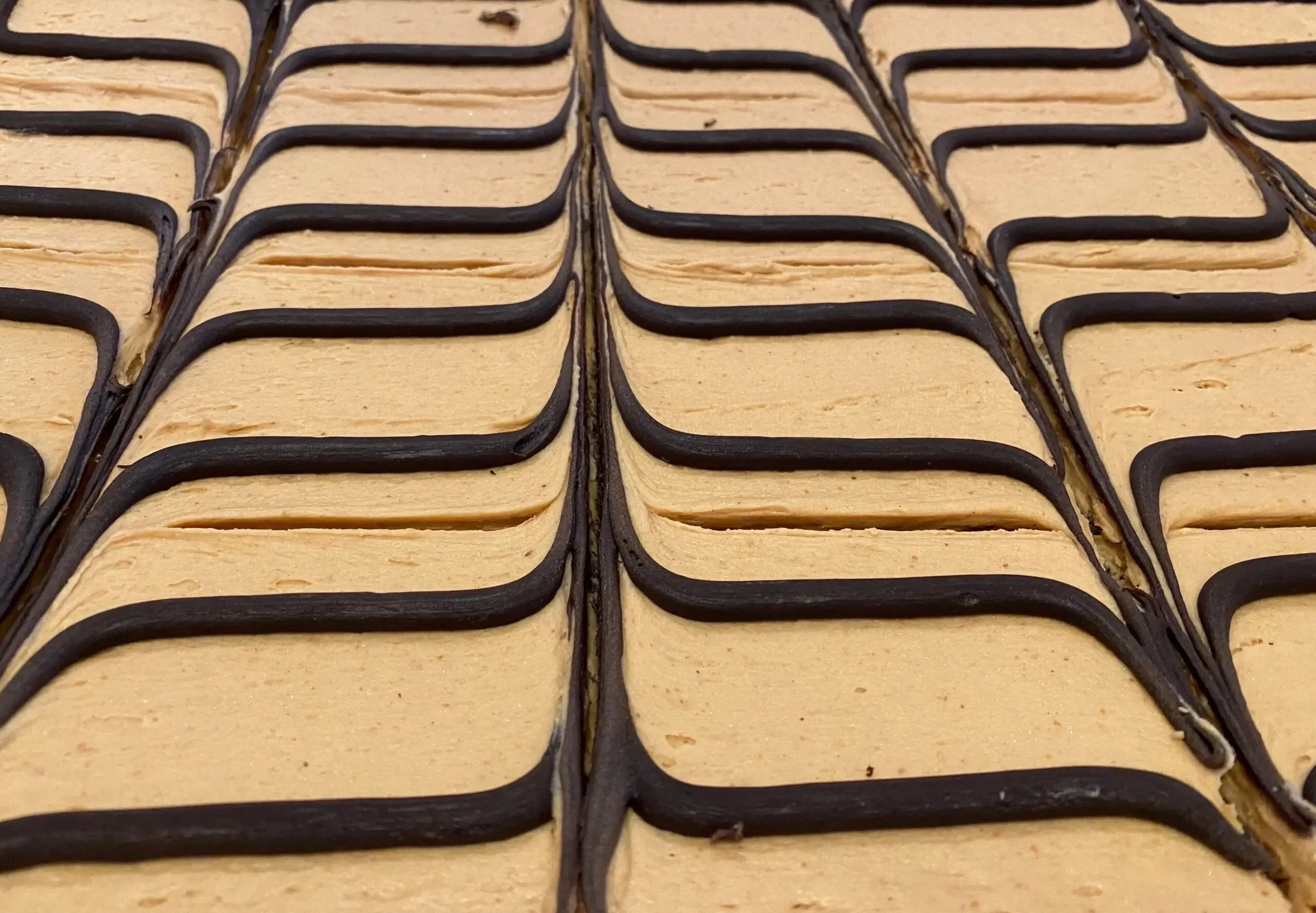 Chocolate-drizzled layered cake close-up.